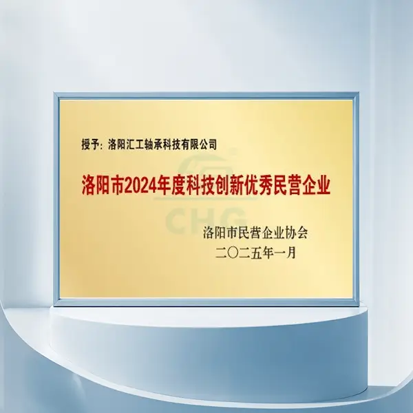 Luoyang Excellent Private Enterprise for Technological Innovation (2024)