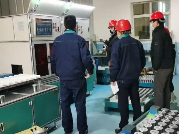 2023 European Customers Inspect Bearing Rollers