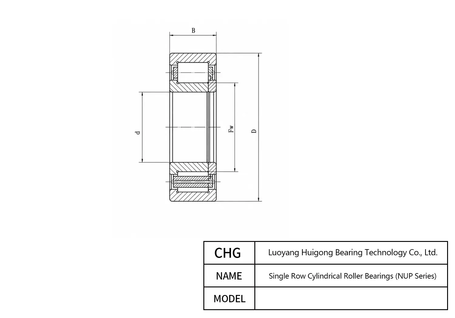 NUP224-E - Single Row Cylindrical Roller Bearings CAD Drawing