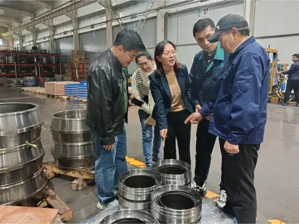 Thailand Customer Factory Inspection